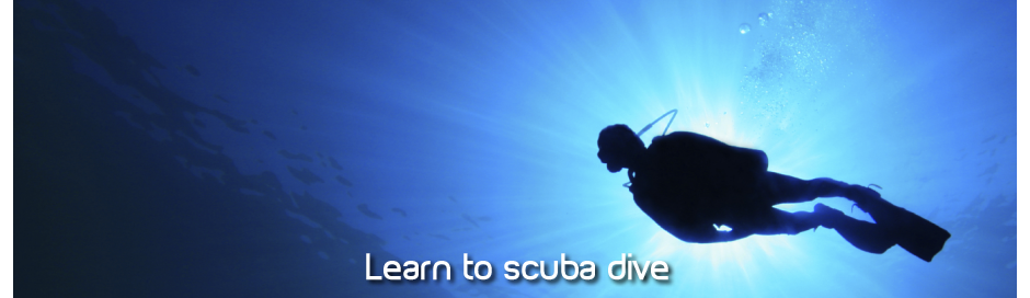learn to scuba dive