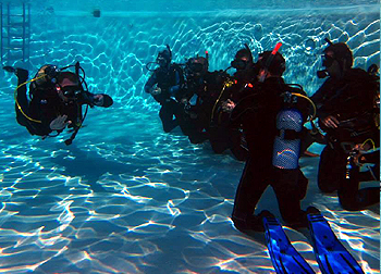 Become a PADI Dive Master with Southampton Scuba Diving dive master course